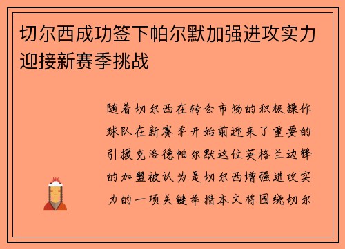 切尔西成功签下帕尔默加强进攻实力迎接新赛季挑战